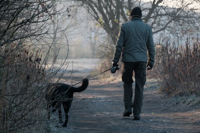 How to Spot the Initial Signs of Canine Parvovirus Effectively