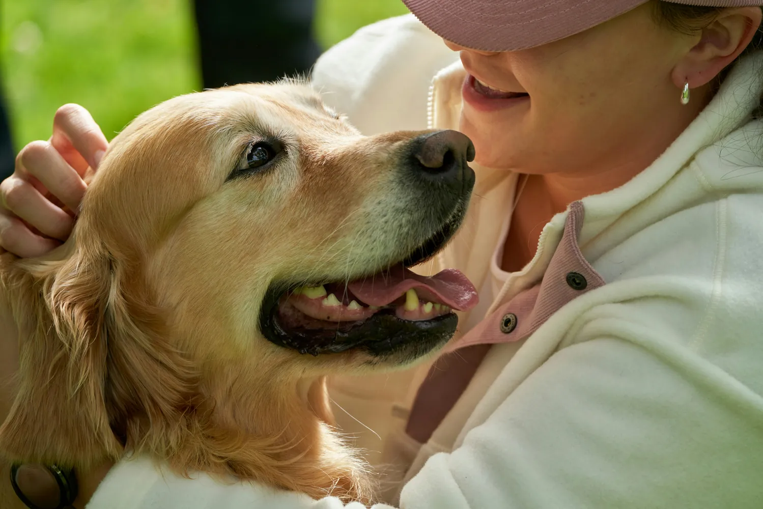 Knowing When to Consult a Veterinarian About Canine Diabetes Symptoms