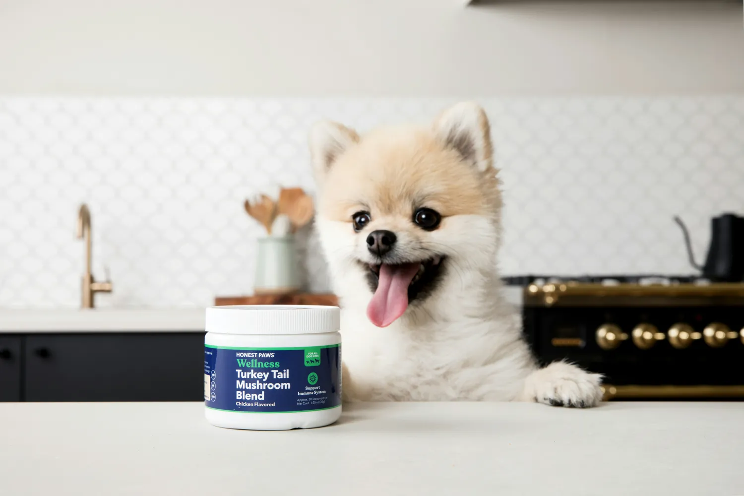 Comparing Ingredients of Natural and Chemical Dog Shampoos for Skin Health