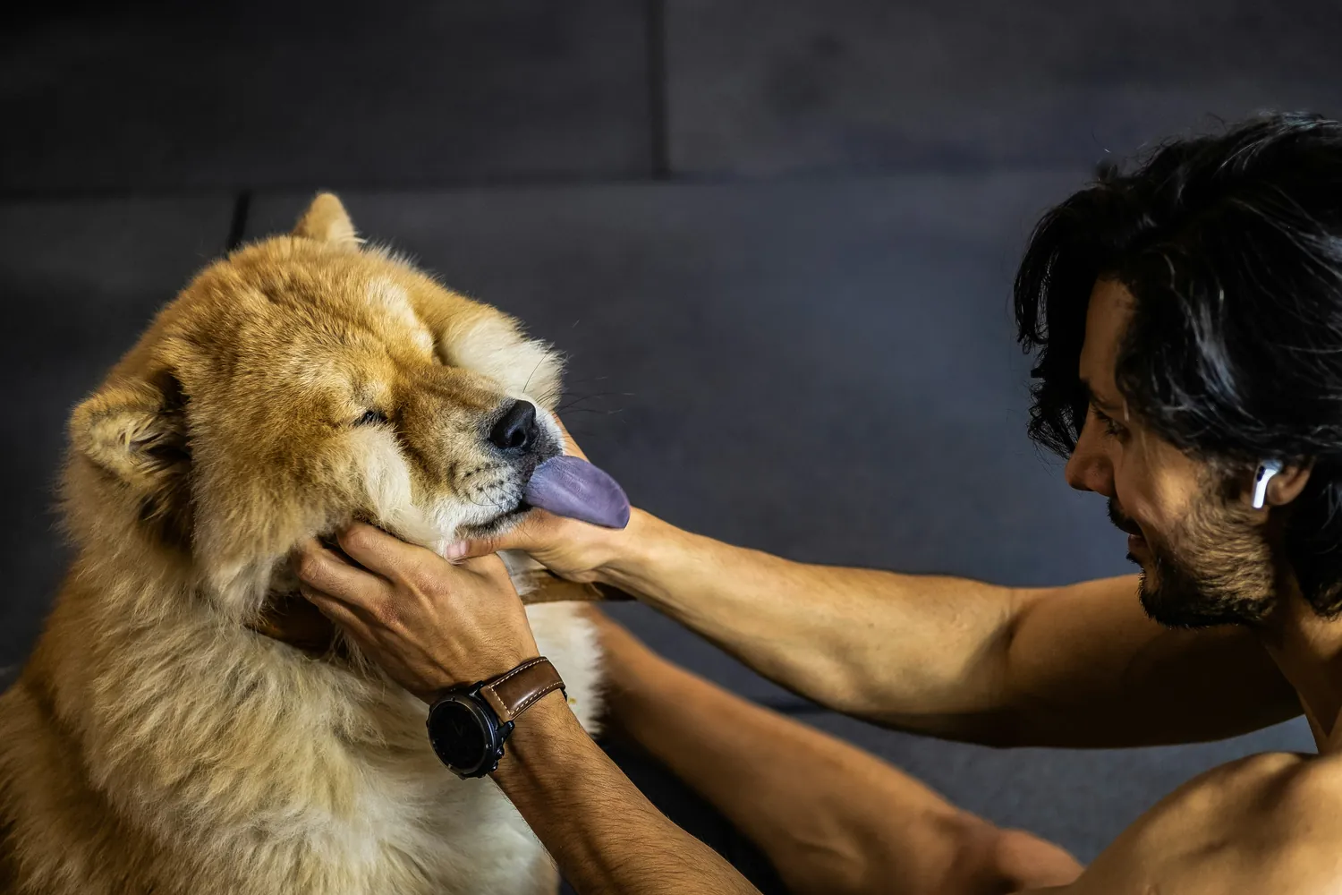 Effective Techniques to Improve Your Dog's Skin Health