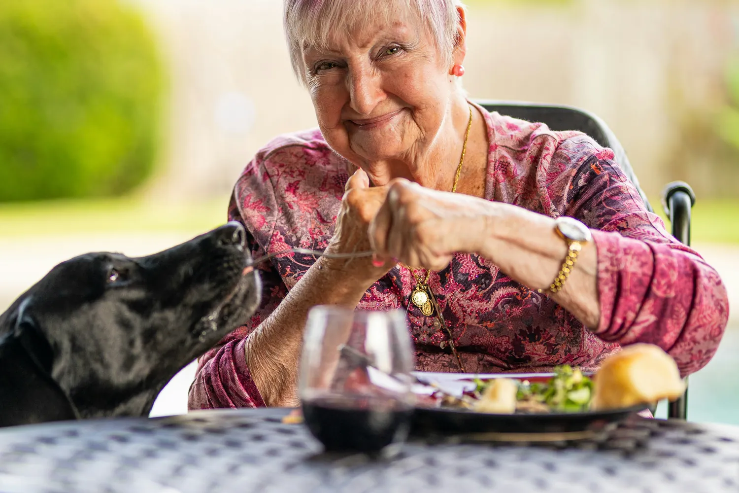 Meal Prep Tips for Crafting a Balanced Diet for Senior Dogs