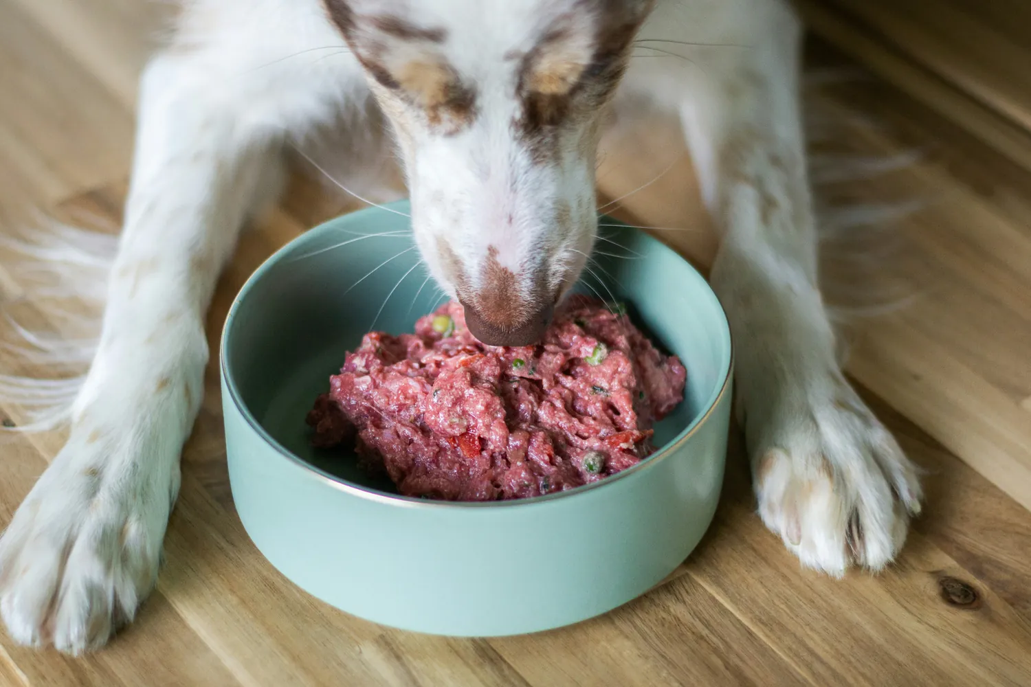 Nutrient-Dense Ingredients to Include in Your Dog's Diet