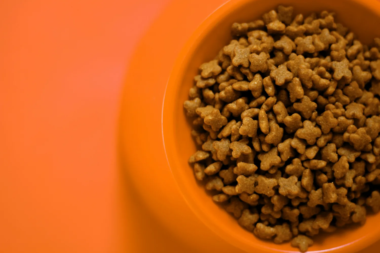 Nutrient-Rich Dog Food: Achieving the Right Protein and Carb Levels