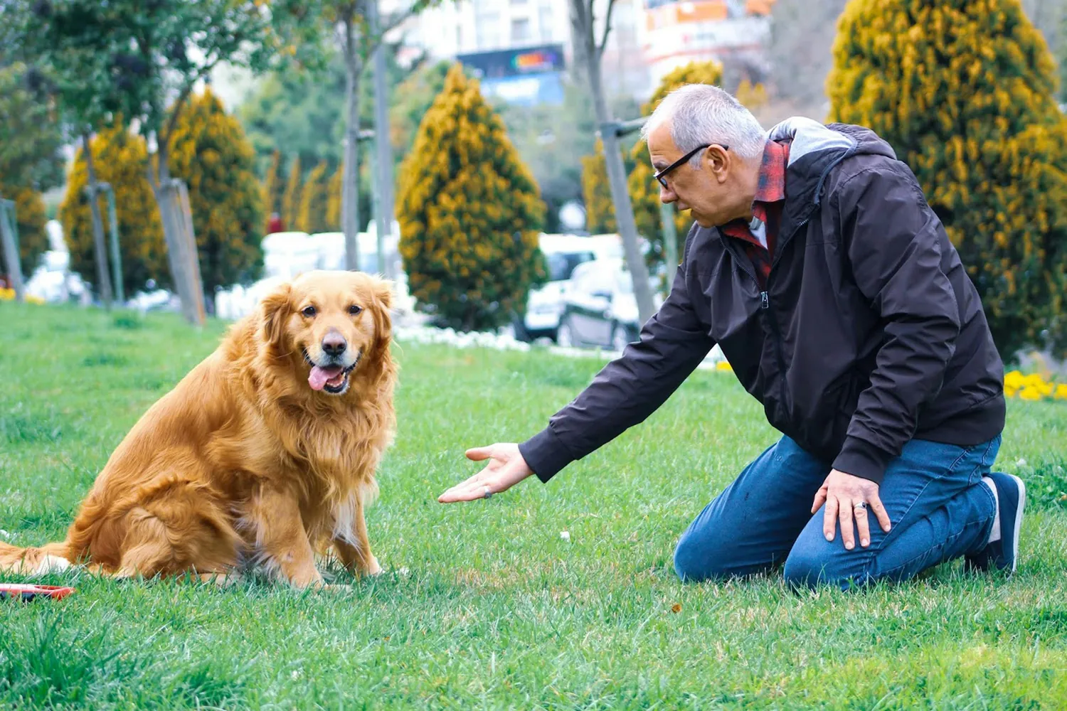 Subtle Signs of Discomfort: How to Spot Arthritis in Active Dogs