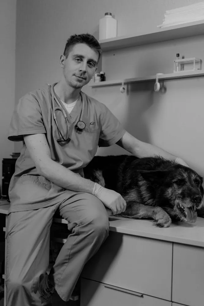 Why Annual Veterinary Check-Ups Are Essential for Pet Longevity